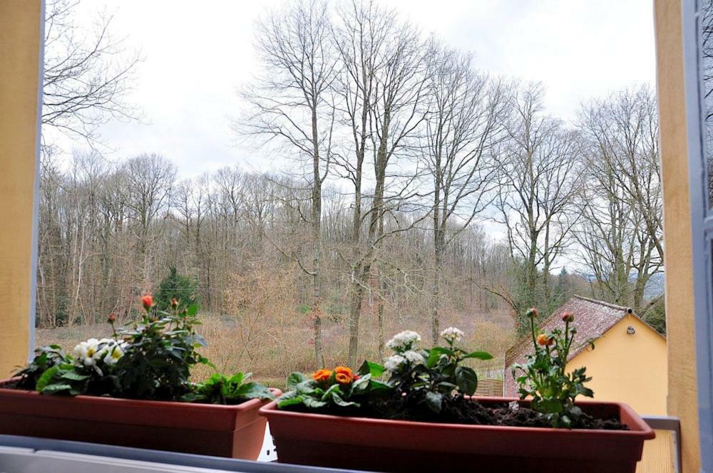 Bed and Breakfast Au Jardin De Lisa Cherreau Екстер'єр фото