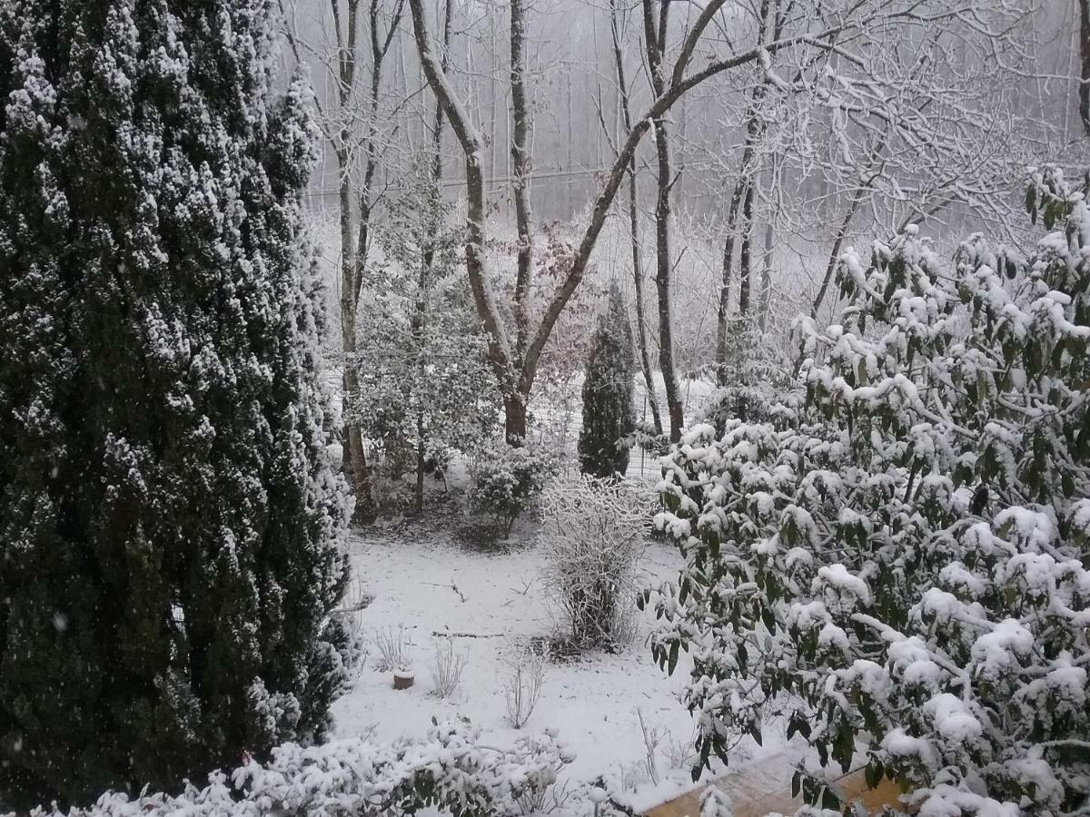 Bed and Breakfast Au Jardin De Lisa Cherreau Екстер'єр фото